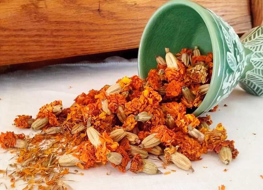 Шафран: полезные свойства и как принимать