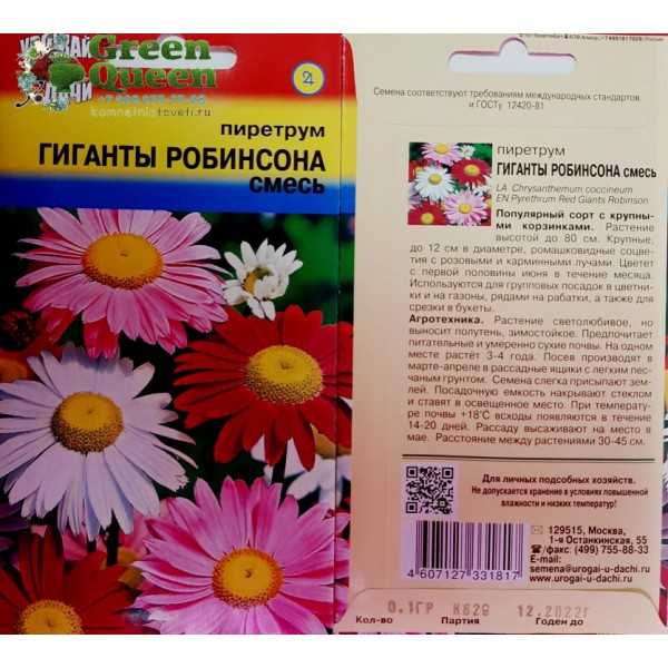 Пиретрум: посадка и уход, фото, размножение и выращивание сорта в открытом грунте, сочетание в ландшафтном дизайне