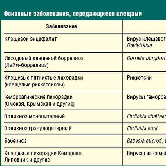 Симптомы и лечение ньюкаслской болезни птиц