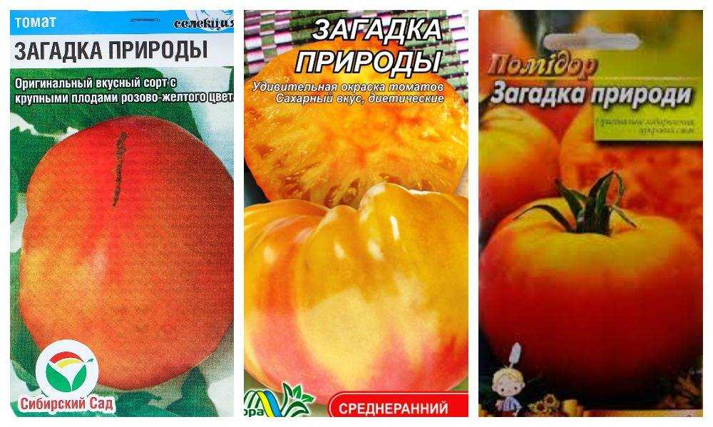 Томат "загадка природы" характеристика и описание сорта, отзывы, фото – все о томатах. выращивание томатов. сорта и рассада.