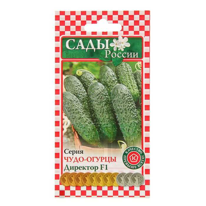 Какого ухода требуют огурцы директор?