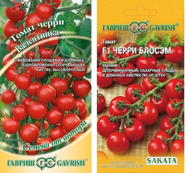 Лучшие сорта томатов черри - топ 15🍅, характеристика и описание, фото, урожайность, достоинства