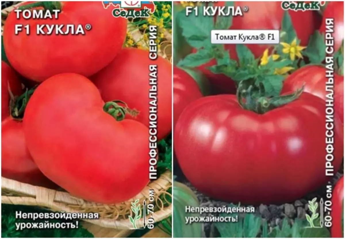 Томат «кукла маша f1»: фото, описание сорта и характеристика