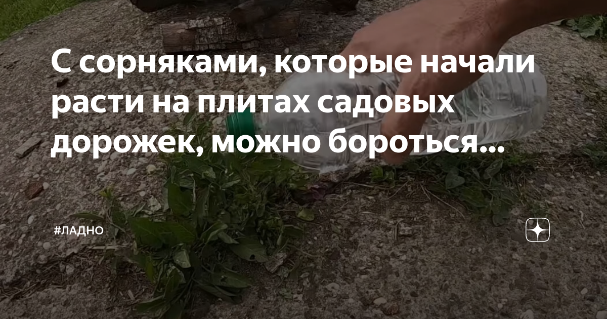 Как эффективно избавится от сорняков на садовой дорожке