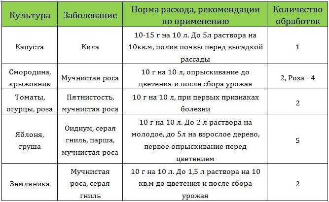 Как и чем опрыскивать томаты: правила обработки и ассортимент средств