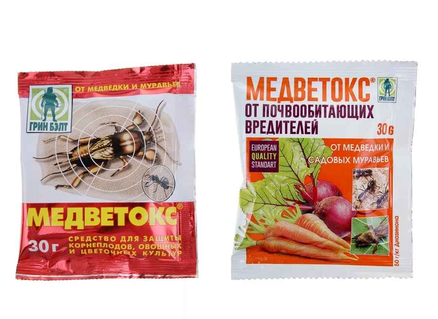 30 методов избавления от медведки в огороде навсегда. медведка: фото, описание, как бороться