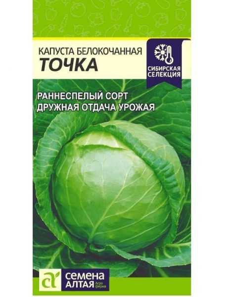✅ о капусте точка: описание и характеристика раннего, белокочанного сорта