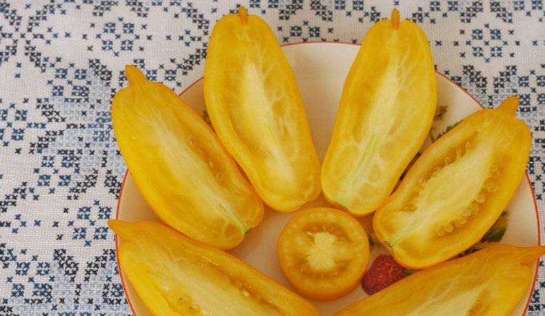 Томат банановые ноги (banana legs): характеристика и описание сорта с фото