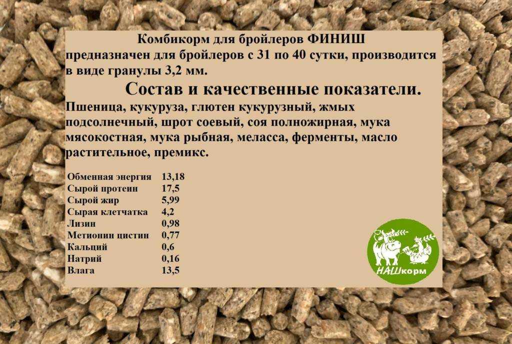 Плохие и хорошие травы для кур: советы от опытных птичников | огородники