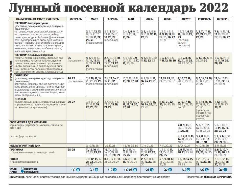 Посадка поздней капусты в открытый грунт – схема, выращивание, уход: как правильно ухаживать, на каком расстоянии и до какого числа можно сажать белокочанный овощ?