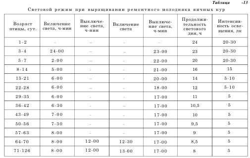 Как узнать возраст курицы?