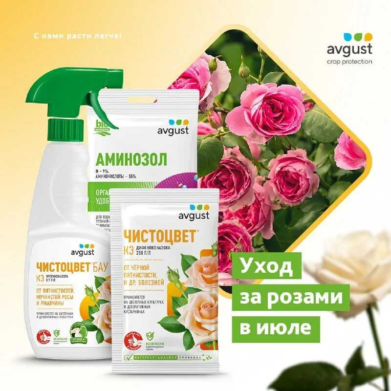 Удобрение для уличных цветов: минеральные комплексы, органика, составы по народным рецептам в 2023 году на гудгрунт