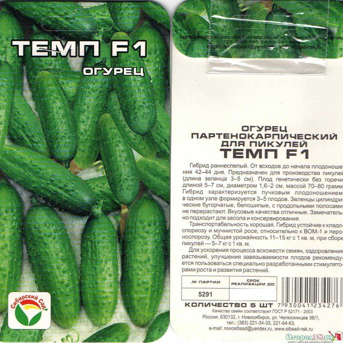 Огурец "темп f1": описание, отзывы, фото