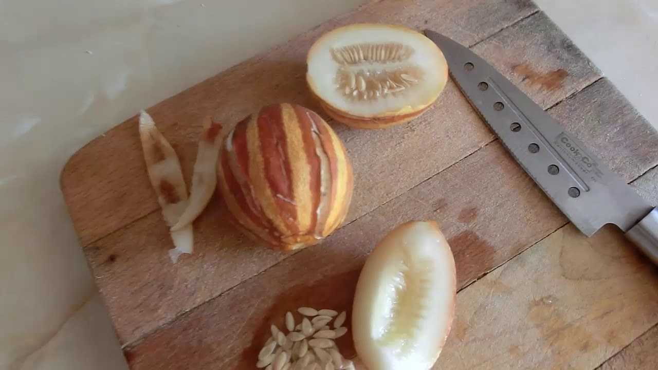Посадка и уход за вьетнамской дыней
