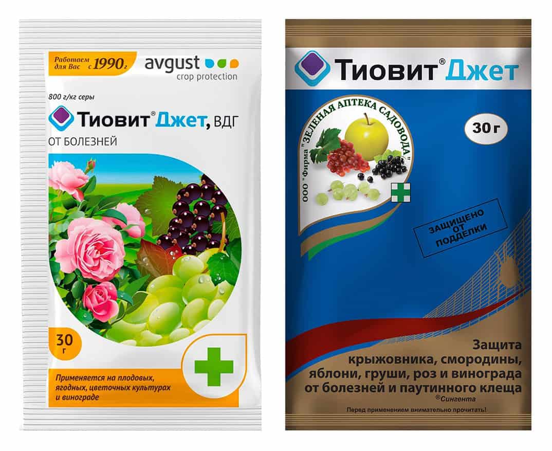 Инструкция по обработке винограда препаратом Тиовит Джет, основные свойства