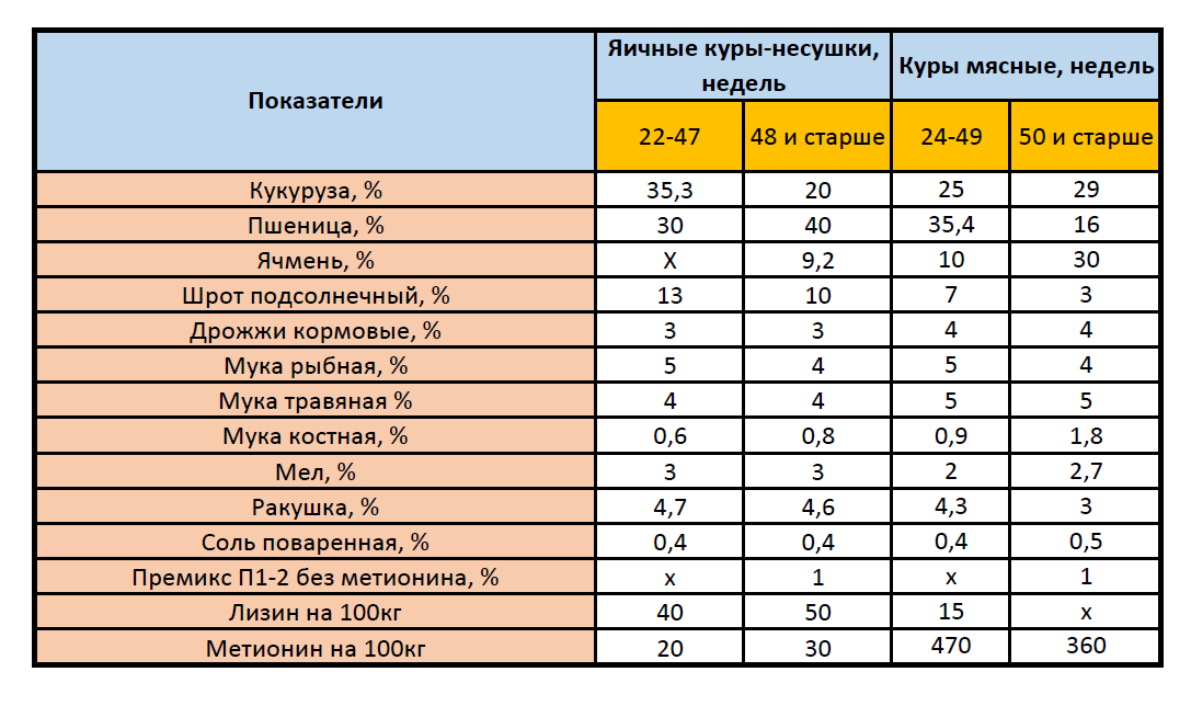 Что в корме кур играет самую важную роль: подсказки начинающему птицеводу