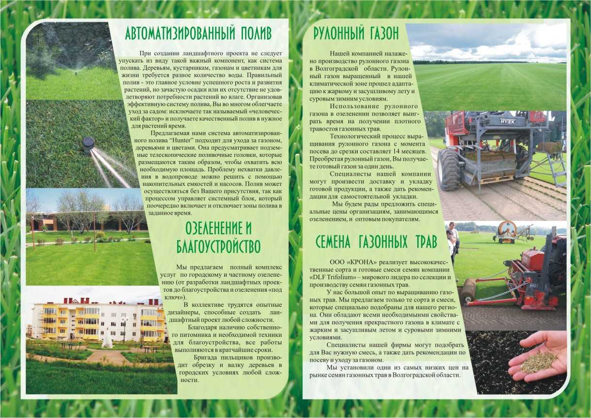 Газон на даче своими руками: как сделать придомовую территорию красивой