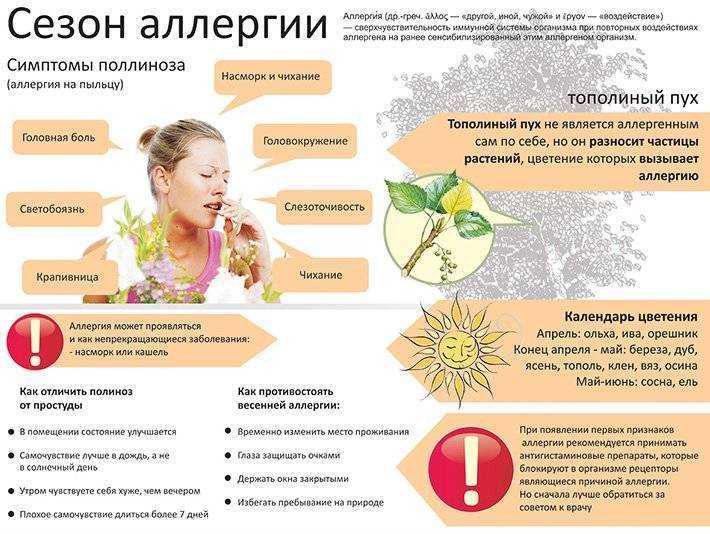Аллергия на пчелиный яд при укусе пчелы