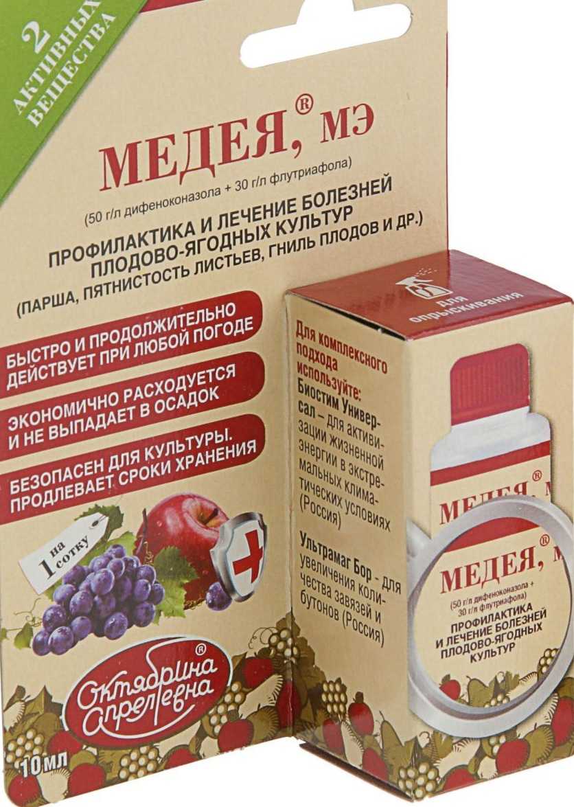 Лечение мучнистой росы на комнатных растениях, розах