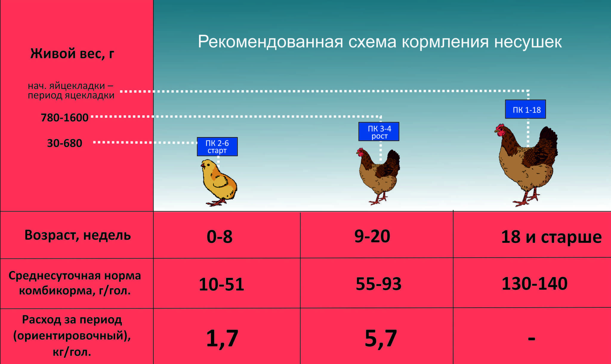 Премикс для кур несушек и бройлеров, состав, какой лучше, как применять