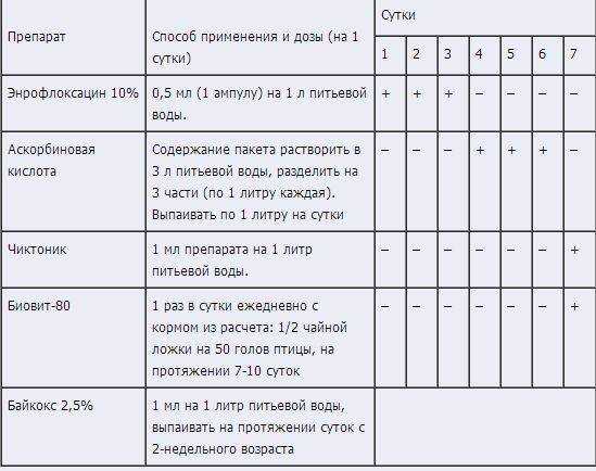 О препарате энростин (инструкция по применению для цыплят, кур): дозировка