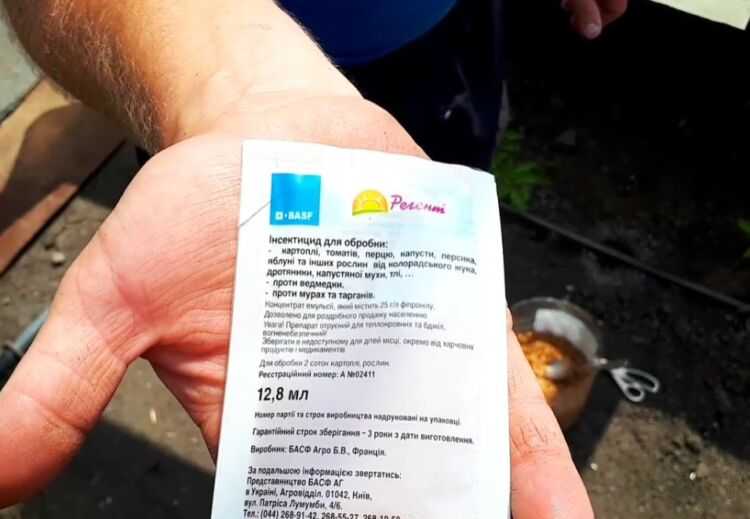 Борьба с медведкой на огороде