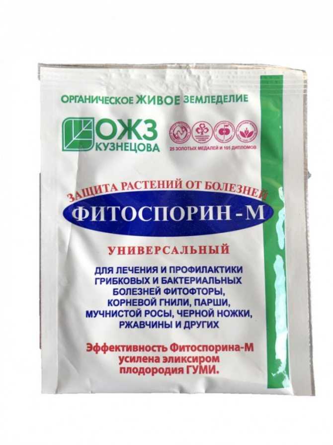 Фитоспорин для клубники осенью, летом и весной: инструкция по применению, как развести + отзывы садоводов