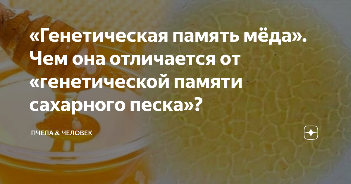 Как проверить мёд генетическая память?