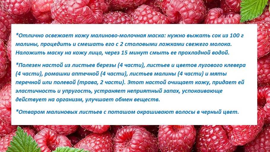 Малина: польза и вред для здоровья