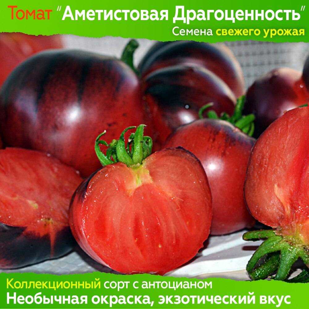 Томат "аметистовая драгоценность": описание, характеристика, урожайность, отзывы, фото