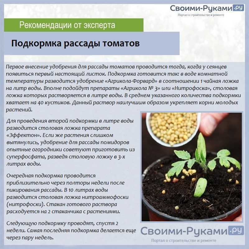 Чем подкормить рассаду: органика, народные средства, гумматы...