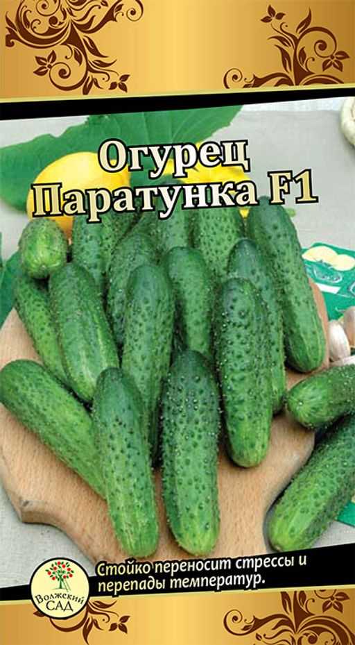 Огурец паратунка f1: характеристики, агротехника, отзывы