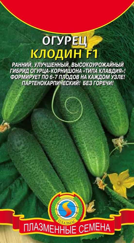 Огурцы клодин f1 – партенокарпический гибрид созданный голландскими селекционерами