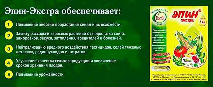 Эпин экстра: описание и действие, инструкция по применению для комнатных и хвойных растений, правила выбора