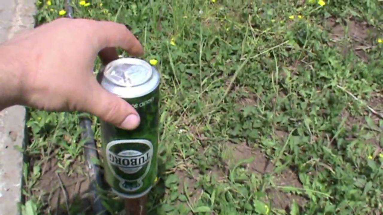 Как избавиться от кротов на даче: профилактика, 7 рабочих методов уничтожения, видео