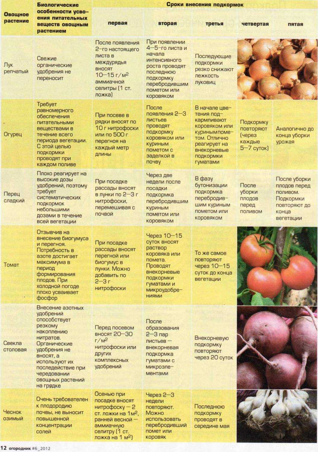 Сорт картофеля мемфис: характеристика, фото, отзывы