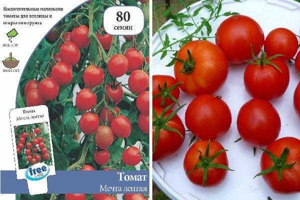 Томат чудо лентяя: описание и характеристика сорта, отзывы, фото