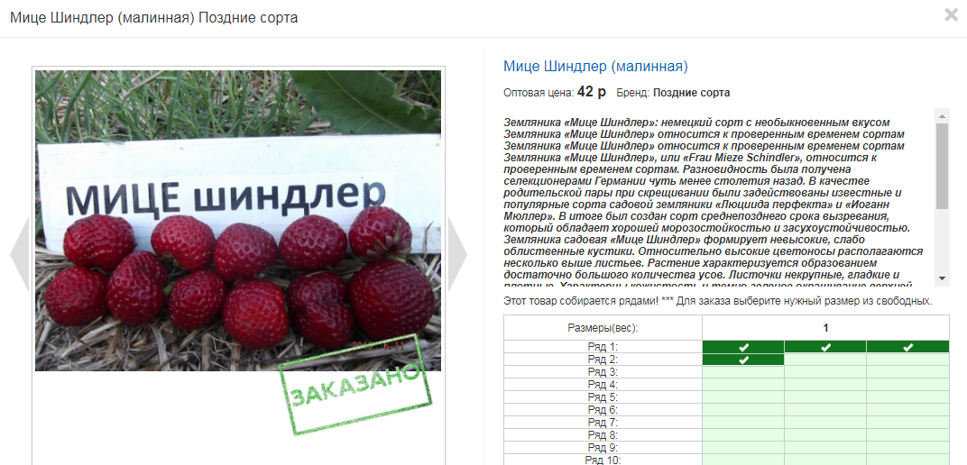 Клубника мице шиндлер: описание сорта и уход
