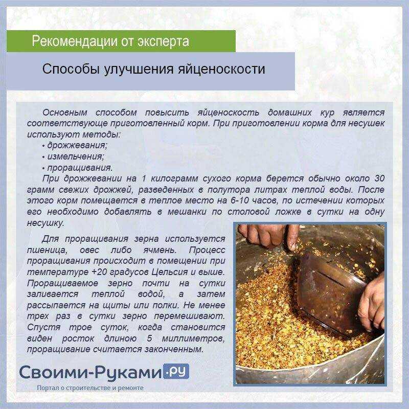 Премикс для кур несушек и бройлеров, состав, какой лучше, как применять