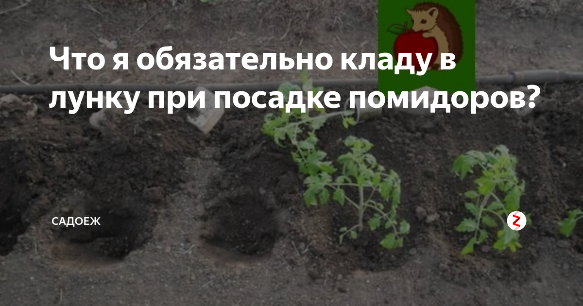 Грядка для огурцов в открытом грунте своими руками | как подготовить весной простую посадку в лунки