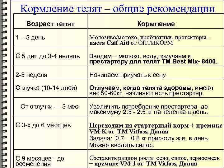 Чем кормить теленка в 3 месяца и старше - кормление и отъем от коровы