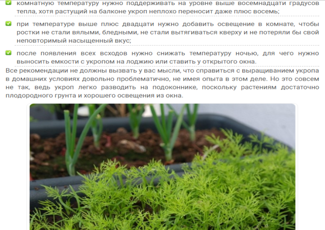 Как выглядит петрушка, когда всходит, как растет петрушка и что это за культура