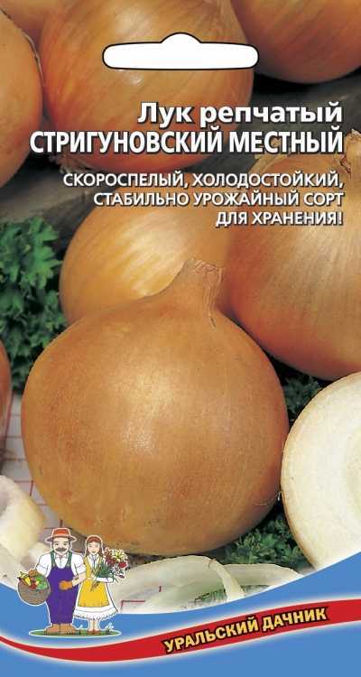 Лук стригуновский местный: характеристика и описание сорта, выращивание