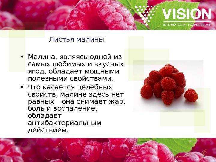 Малина: польза и вред для организма, витамины и полезные свойства - телеканал доктор