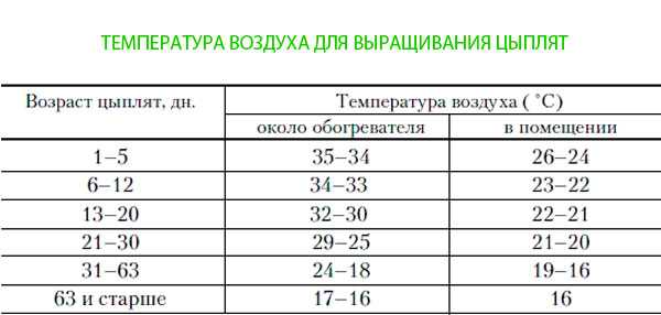Правильное кормление цыплят бройлеров в различном возрасте: подсчет рациона и рецепты смесей своими руками