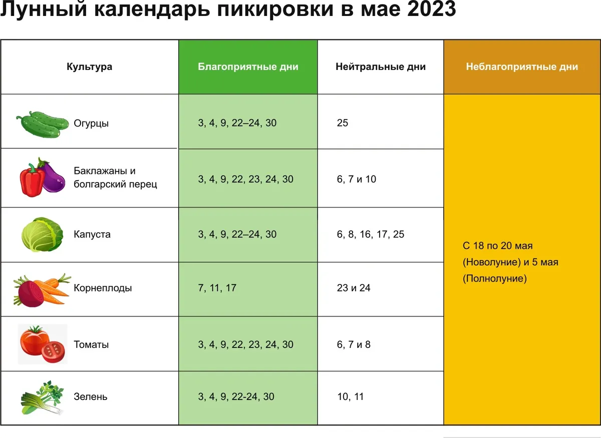 Когда сеять капусту на рассаду и в грунт по народным приметам