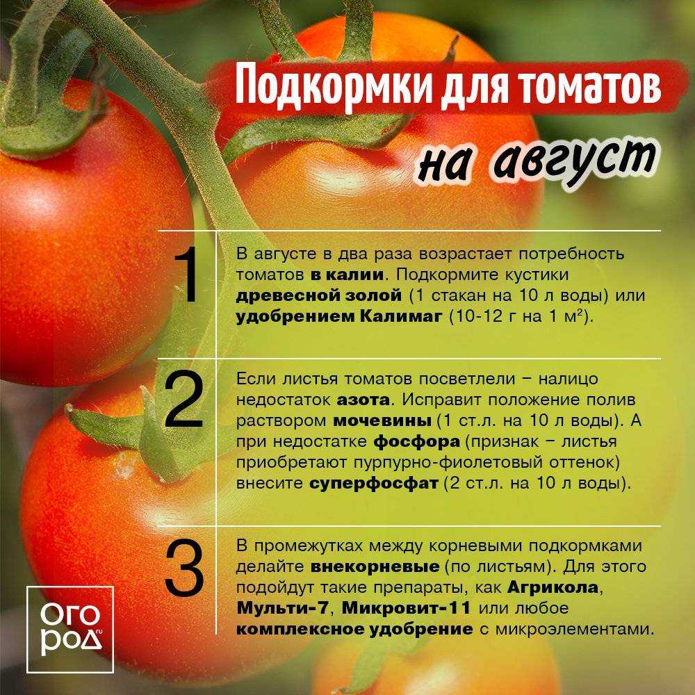Подкормка помидор, чем комплексно удобрять томаты в открытом грунте