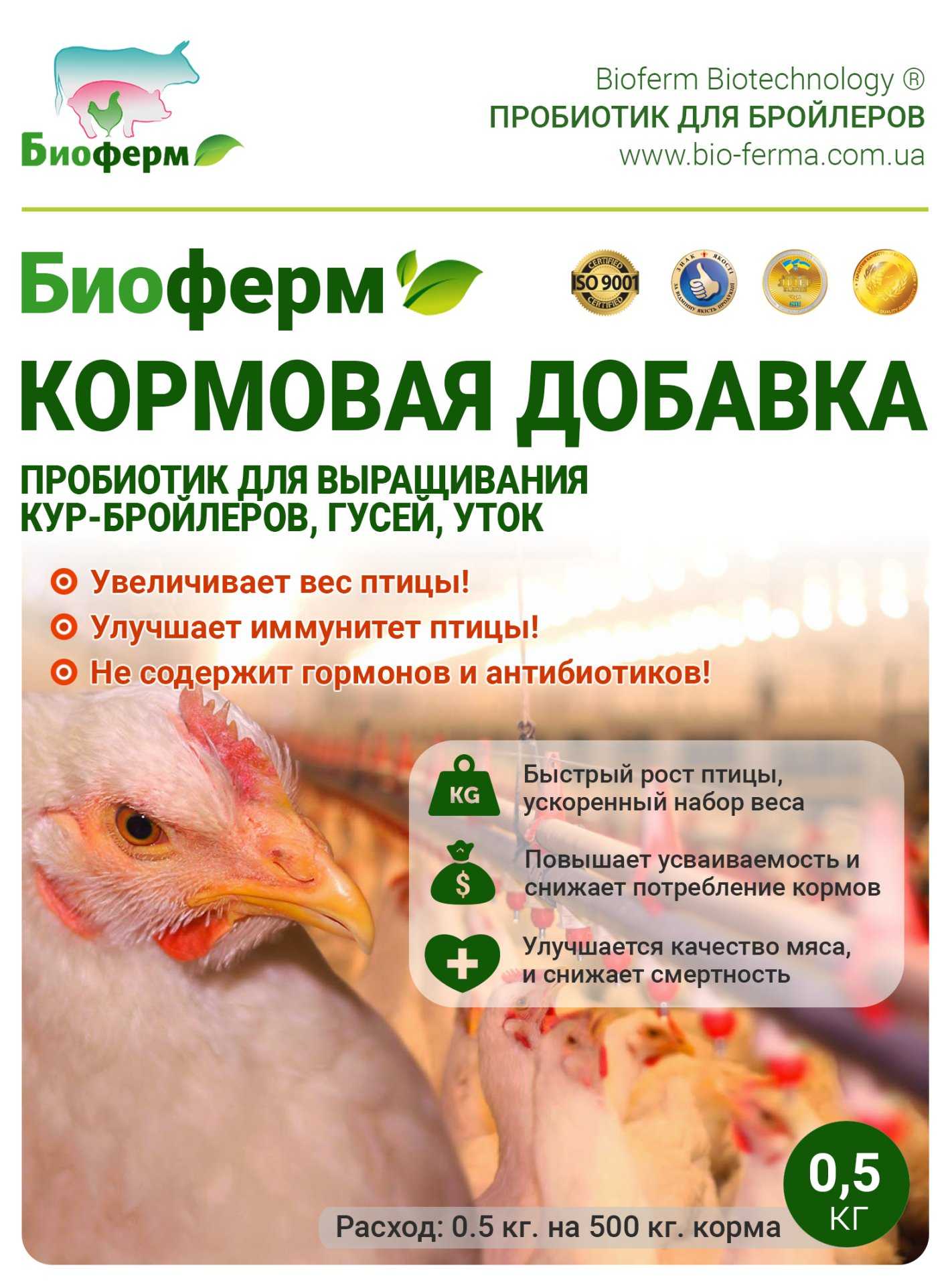 Антибиотики цыплятам для профилактики и лечения