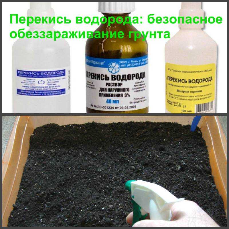 Можно ли водой из бассейна поливать огород: опасность и возможности использования воды