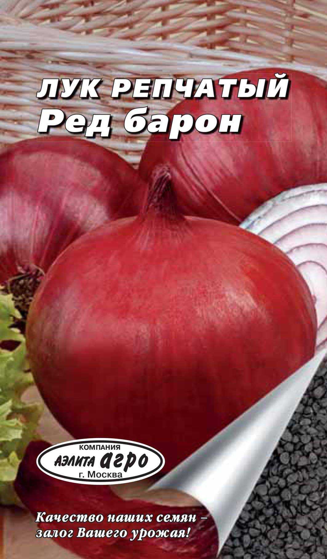 Лук ред барон: описание сорта, фото, отзывы, посадка и уход, достоинства и недостатки и особенности выращивания